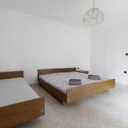Leo With Pool
